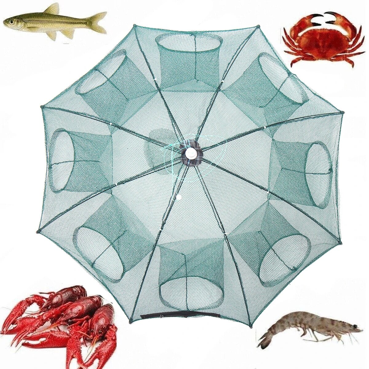 SNS Fishing Bait Trap Fish Net Cast Dip Cage Crab Minnow India